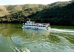 Cruzeiros e outros passeios de barco no Douro