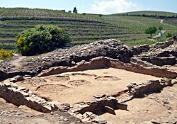 Stages in the History of Wine in the Douro